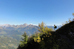 cret-mouches-16
