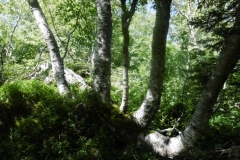 crete-du-Gargoton_08