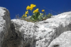 pas-de-la-rousse-9-Small