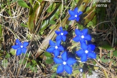 Croix-de-lAlpe_05-Small