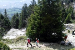 Croix-de-lAlpe_07-Small