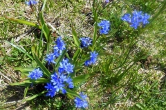 Croix-de-lAlpe_21-Small