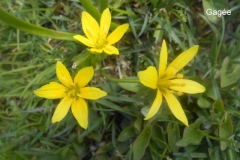 Croix-de-lAlpe_24-Small