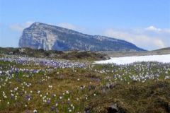 Croix-de-lAlpe_27-Small