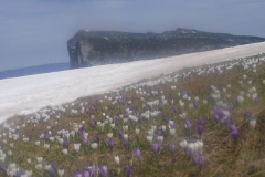 croix-de-lalpe-1.resized