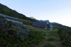 dent-du-corbeau-05