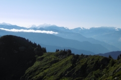 dent-du-corbeau-08
