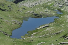 dent-du-corbeau-23