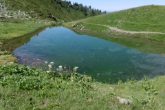dent-du-corbeau-26