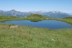 dent-du-corbeau-27