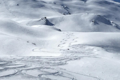 Col-dEmy_61