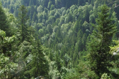 escalade-st-hugon-juillet-2021-12