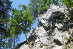 escalade-st-hugon-juillet-2021-34