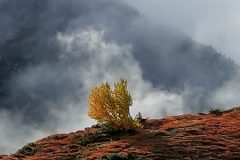 grand-chat-11.resized