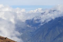 grand-chat-12.resized