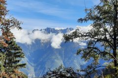 grand-chat-13.resized