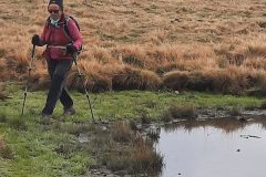 grand-chat-8.resized