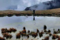 grand-chat-9.resized