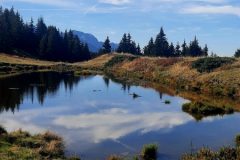 gd-rocher-trav-1.resized