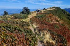 gd-rocher-trav-3.resized