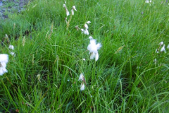 Grande-Journee_02
