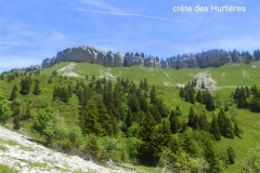 grande-sure-22-Small