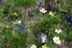 Traversee-Grands-Moulins_14