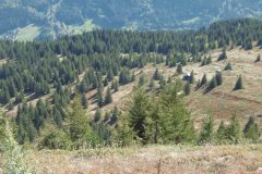 grd-rocher-traversee-6.resized