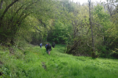 Hurtieres_01
