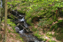 Hurtieres_26