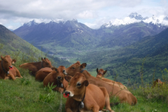 Mont-Morbier_09