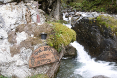 melezes-reco-8
