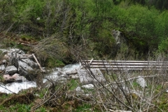 DSCF3186