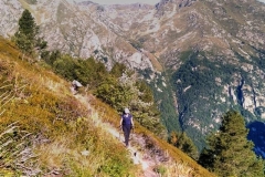 Peric-31.8_04_v1-Small