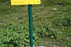 Perrière-Gargoton_03