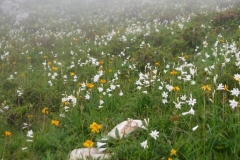 Perrière-Pré-Nouveau_09