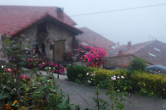 02-09-_Bejes-Caseton-de-Andara-003