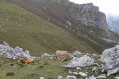 03-09-_Caseton-de-Andara-Aliva-120