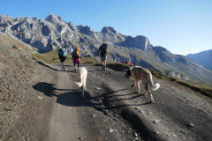 04-09-_Aliva-Vega-de-Uriellu021