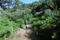 11-09-Soto-de-Valdeon-Vegabagno-008