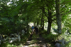 11-09-Soto-de-Valdeon-Vegabagno-016