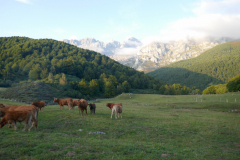 11-09-Soto-de-Valdeon-Vegabagno-056