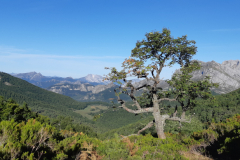 12-09-_-Vegabagno-Vegarredonda-012