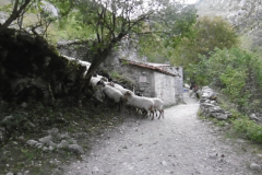 07-09-Bulnes-Cain-005