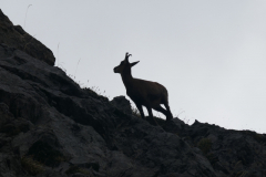 09-09-Collado-Hermoso-Posada-de-Valdeon-028