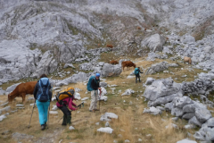 09-09-Collado-Hermoso-Posada-de-Valdeon-050