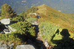 pierre-du-pin-4-Small