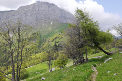 pointe-curtillet-19