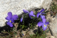 la-perrière-13-Small