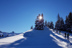 Roche-parstire_020